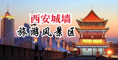 大鸡吧一级毛片中国陕西-西安城墙旅游风景区